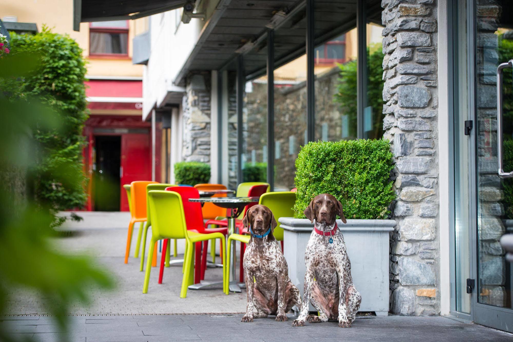 The Ross Hotel Killarney Bagian luar foto